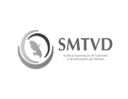 logo SMTVD