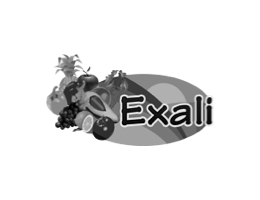 logo exali