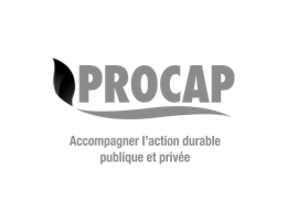 logo Procap, accompagner l'action durable publique et privée