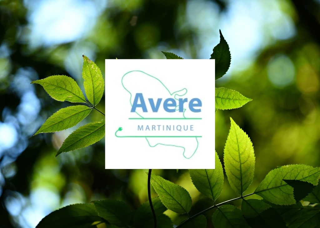 Avere Martinique
